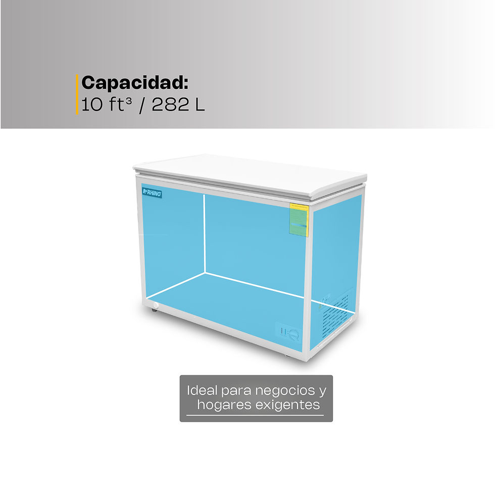Miniatura: CONGECO-10