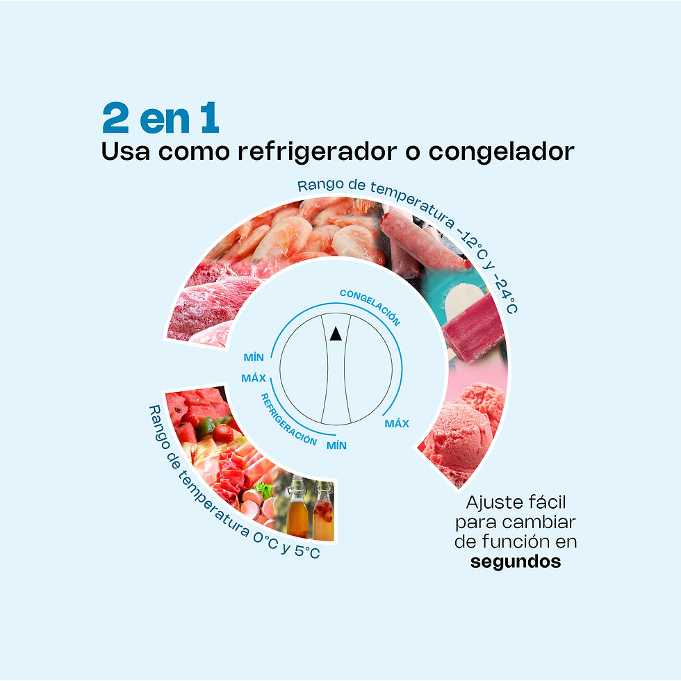 Miniatura: CONGECO-10