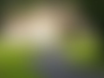 How Much Does an Asphalt Driveway Cost in Iowa?