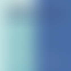 Facebook or Google ads, what is the best for your business