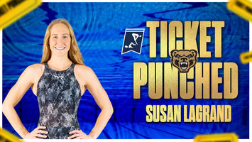 ticket punched wide_.jpg