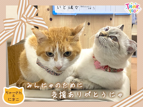 サラレナ基金グッズｰちゃーさん＆にまこからのありがとう 