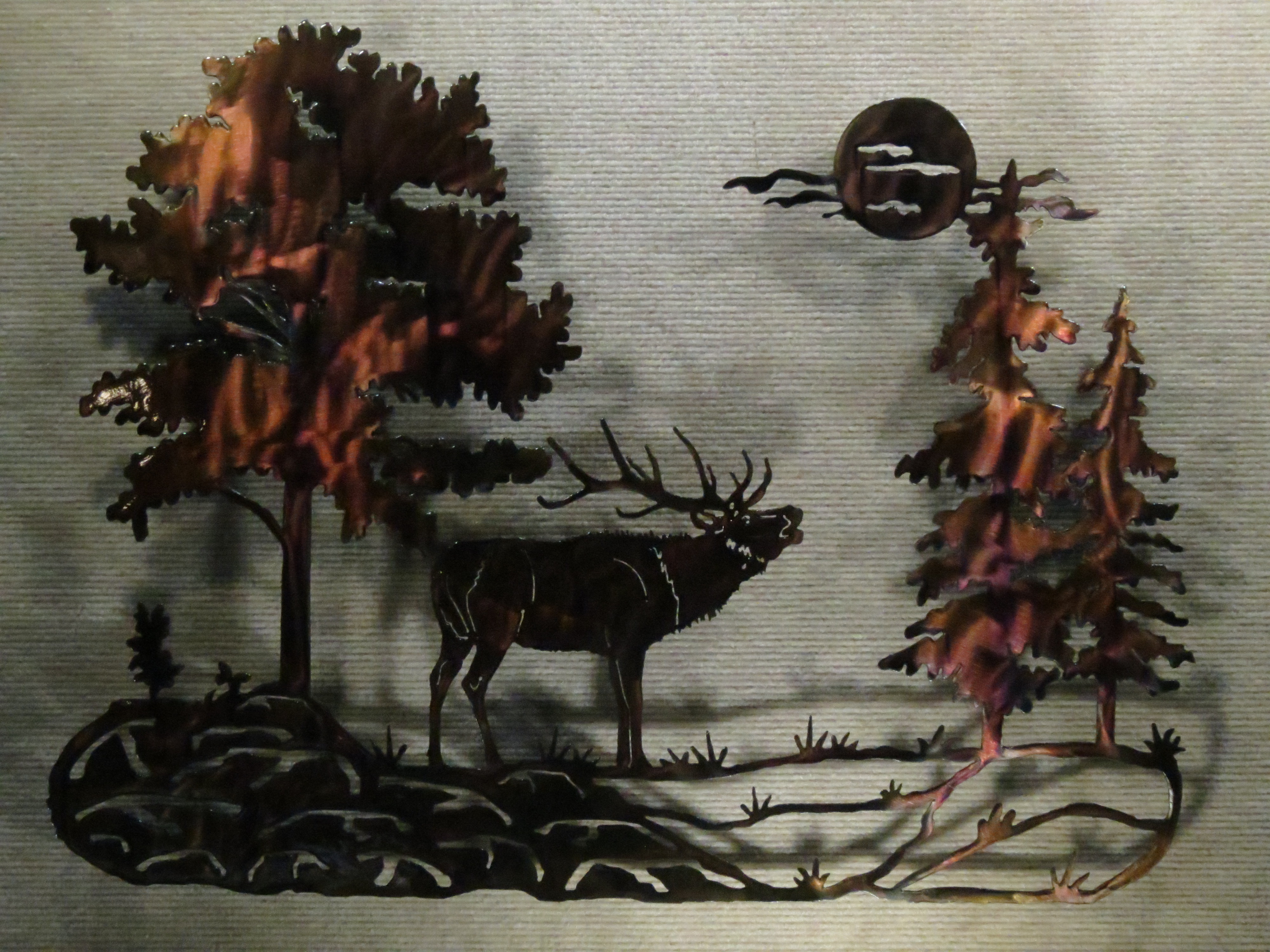 Elk Scene