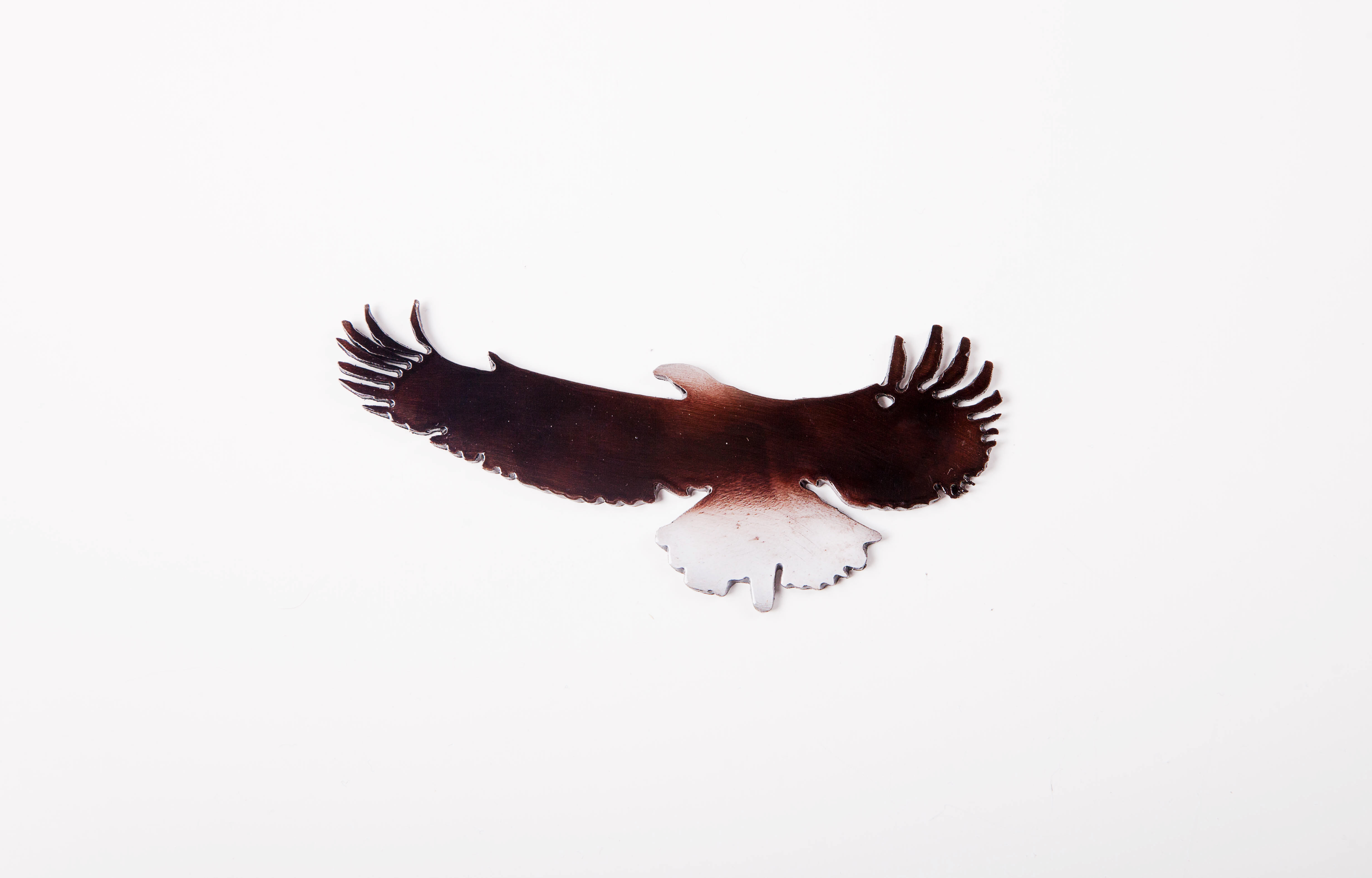 Small Eagle