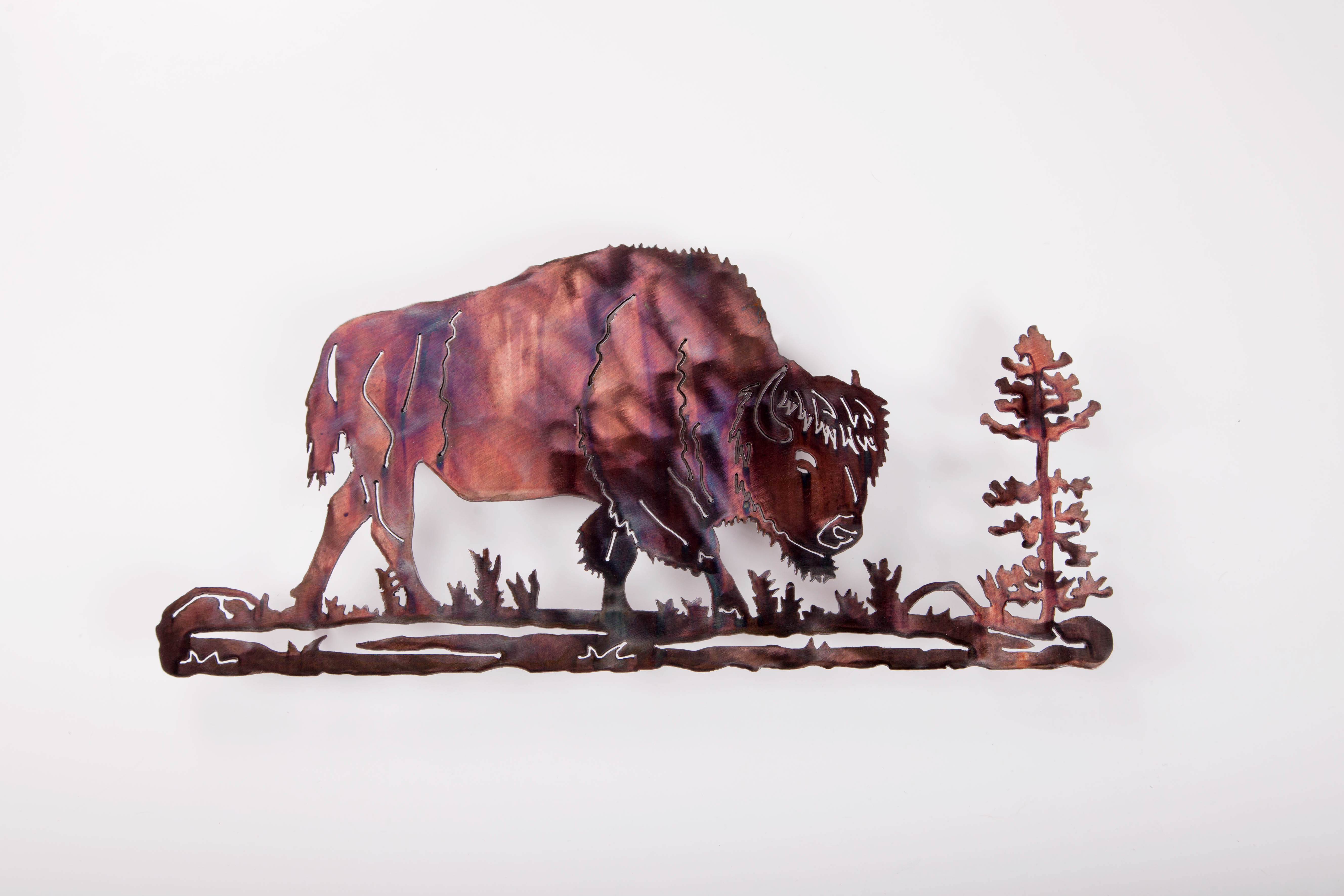 Buffalo Scene