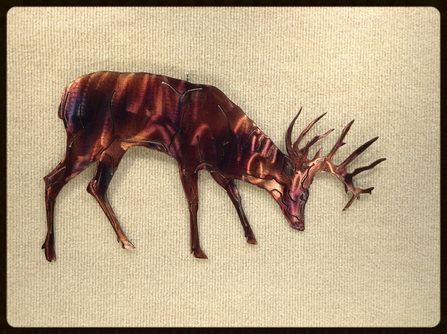 Grazing Single Deer