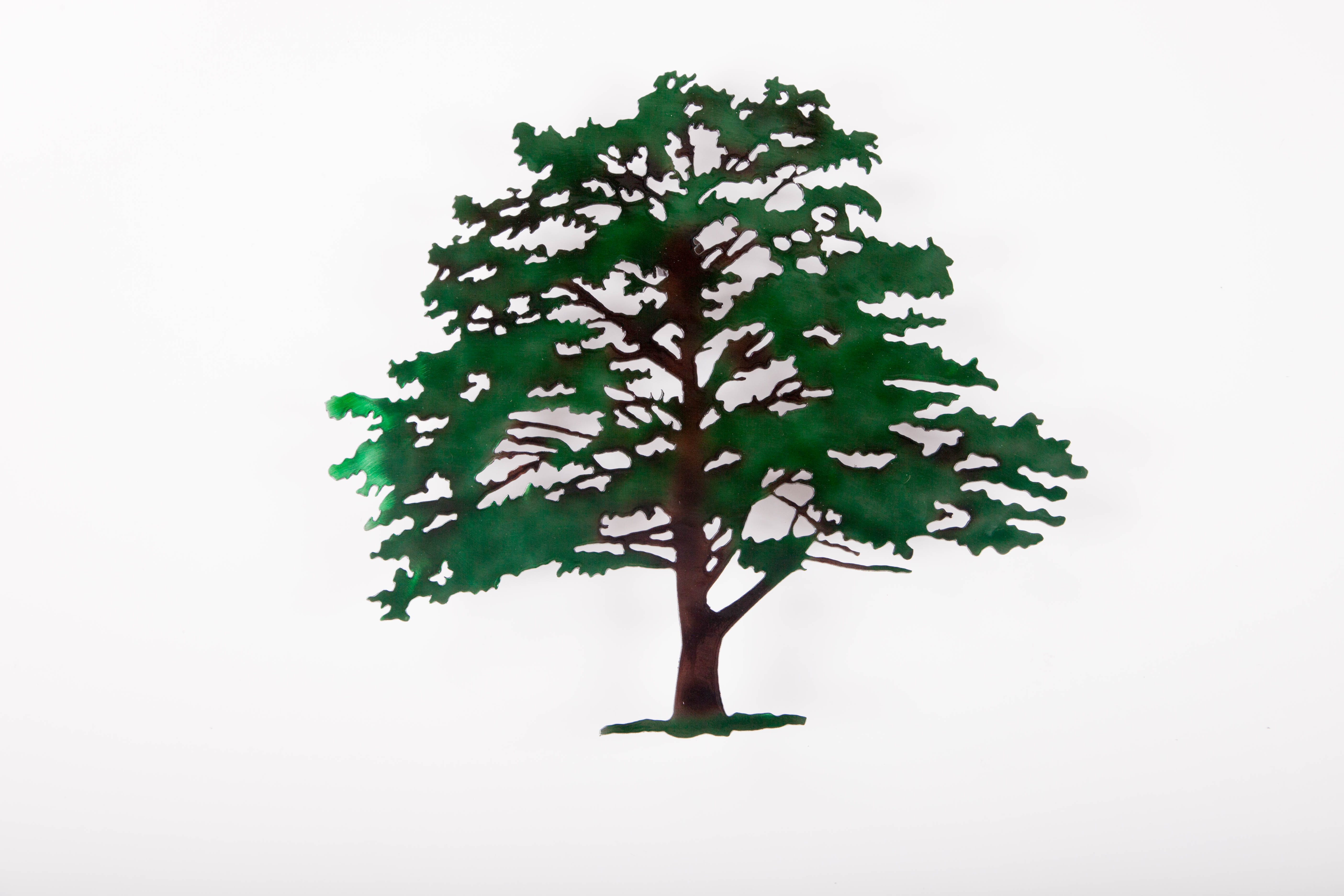 Shade Tree (C)