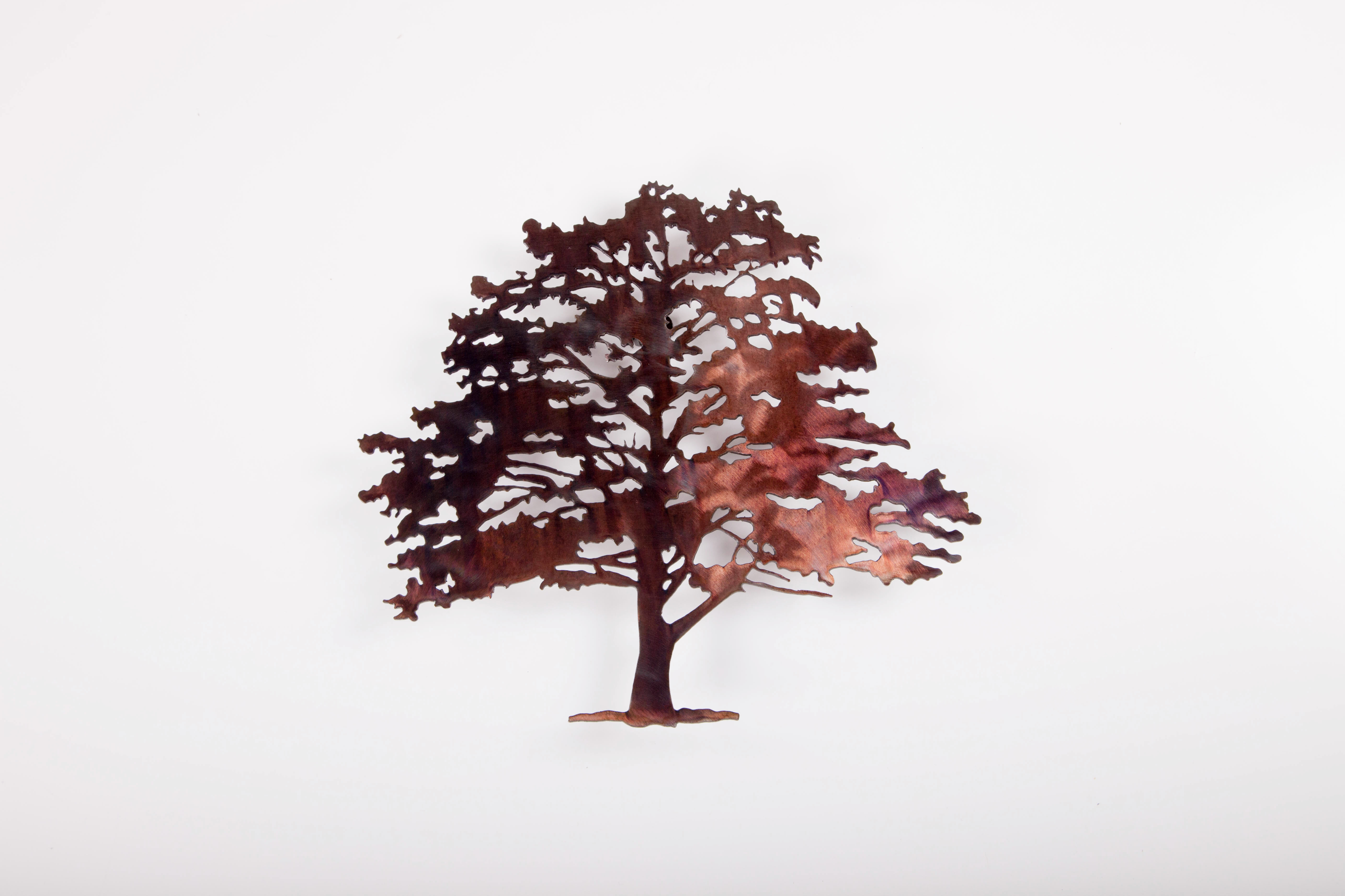 Shade Tree (P)