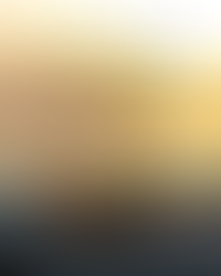 Love as a Frequency: A Neurobiological and Energetic Perspective