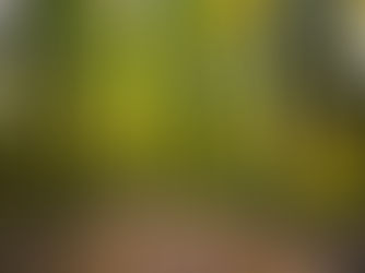 The Inner Power journey