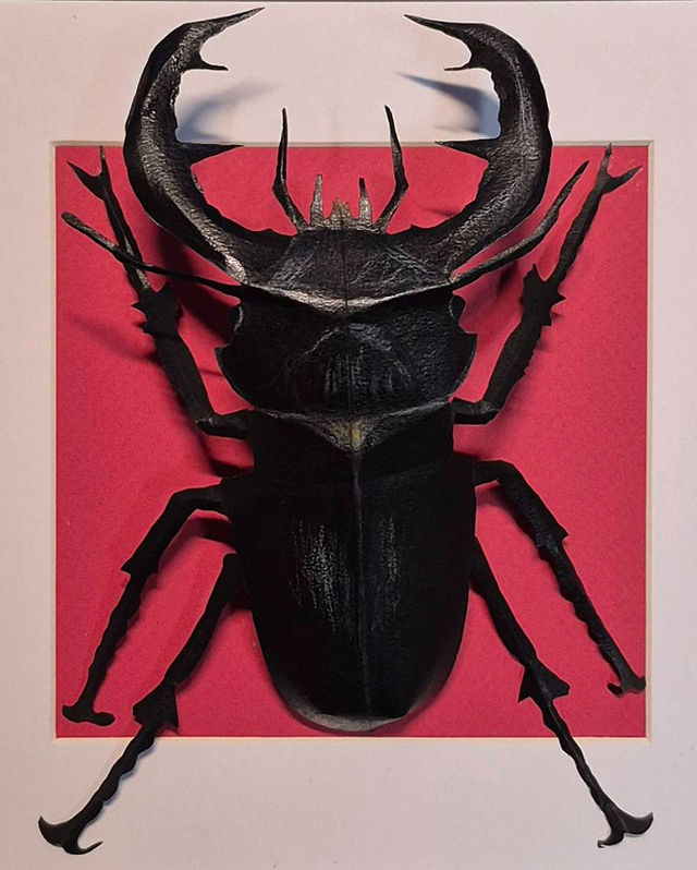 切り絵、デザイン | Kamikirimushi