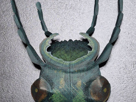 アオオサムシの顔