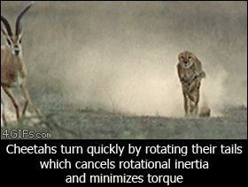 Inercia+Torque
