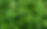 Cleavers (1 of 1).jpg