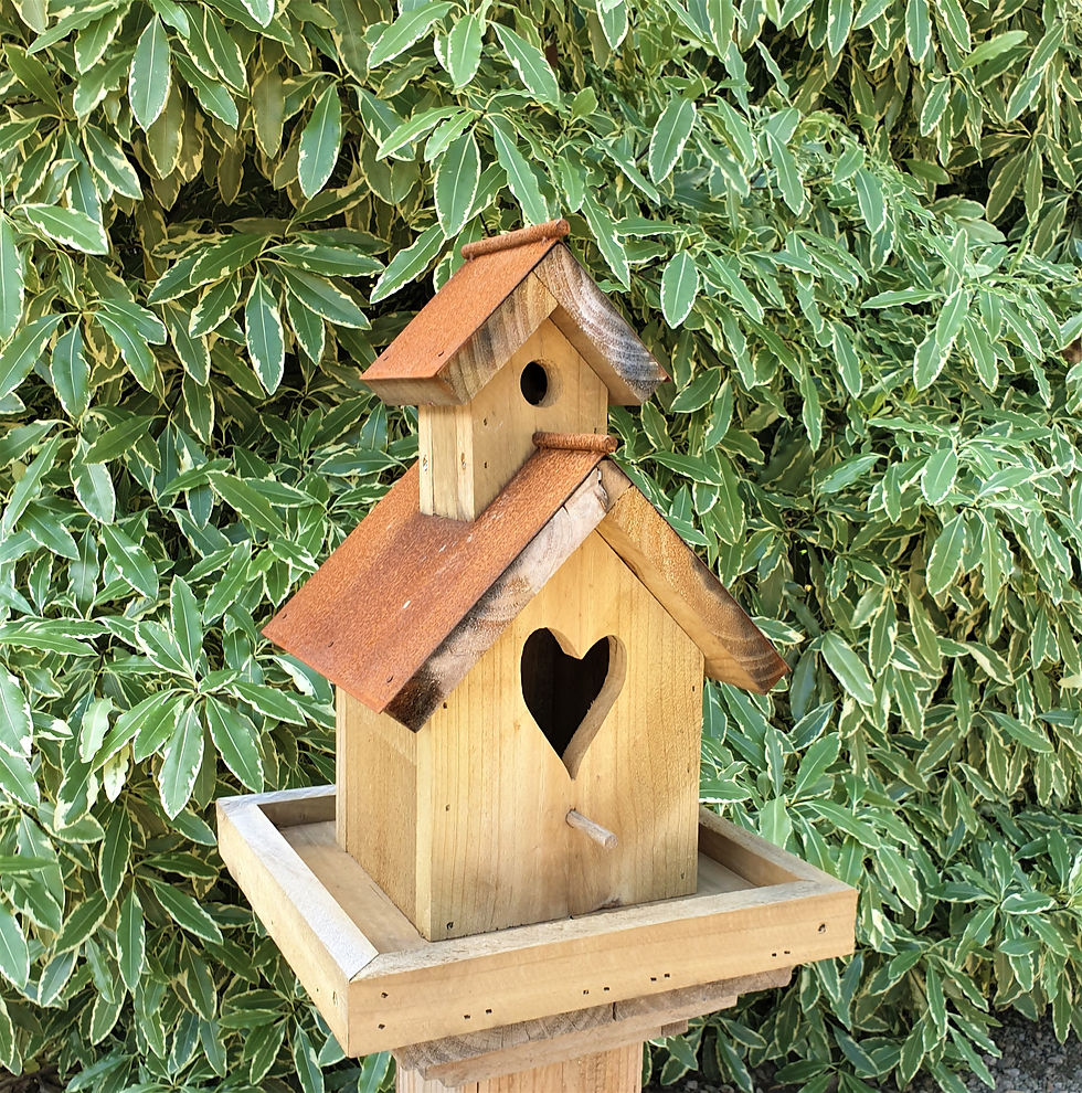 $145 Rusty Heart Vestry