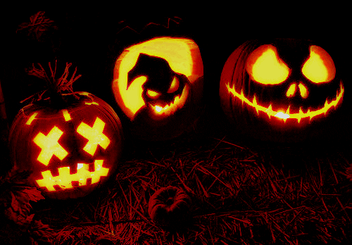 Pumkins.gif