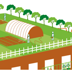 Experiments on Four Growing Systems Adapted for Rooftop Greenhouses