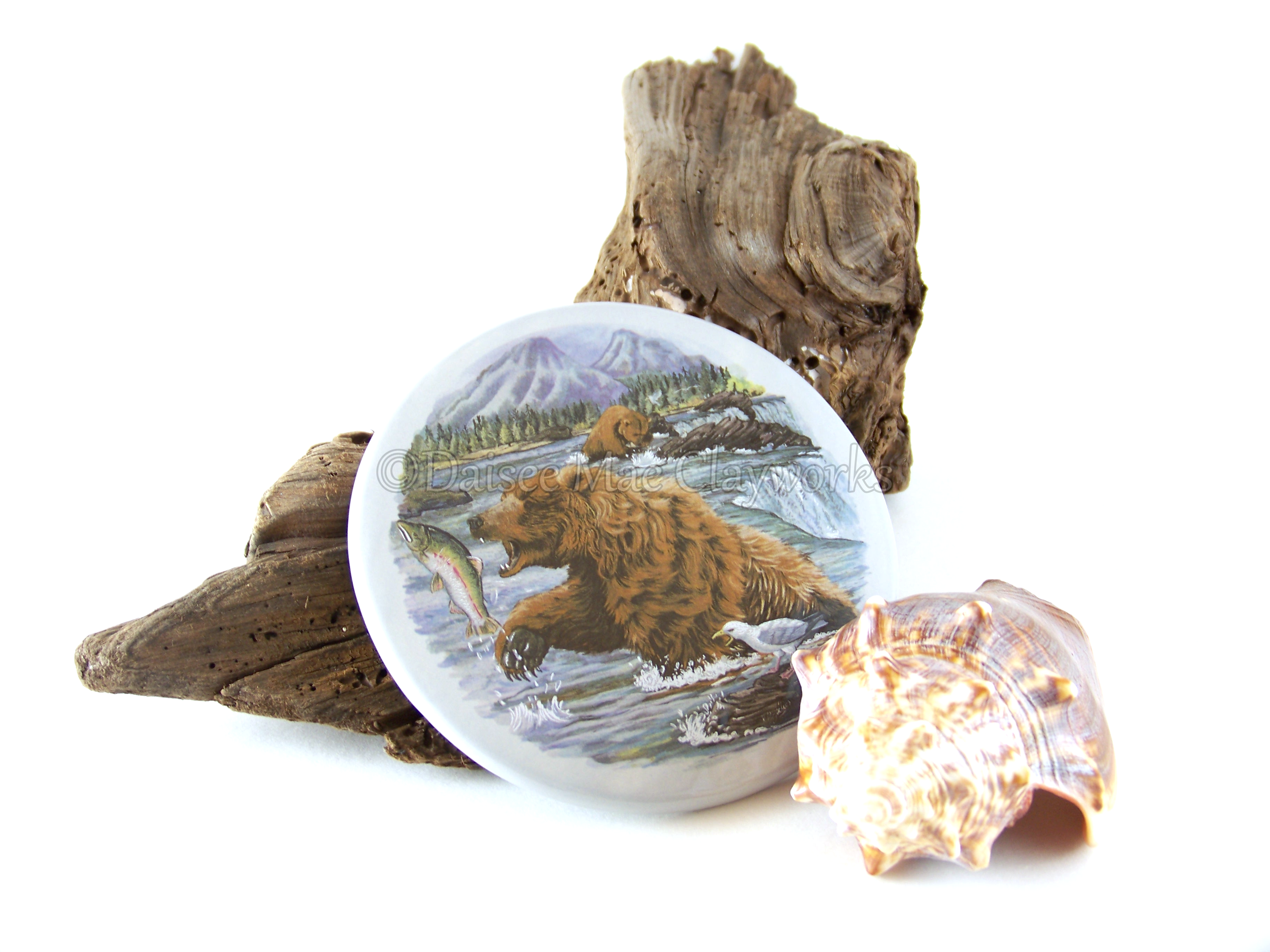 Grizzly Bear Coasters
