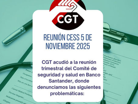 Reunión del CESS en Banco Santander