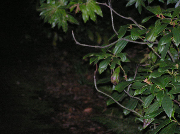 P1010112.JPG