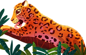 MAMAE-ONCA.png