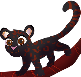 KADU_edited.png