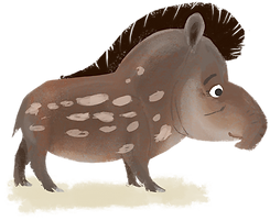 MELANCIA.png