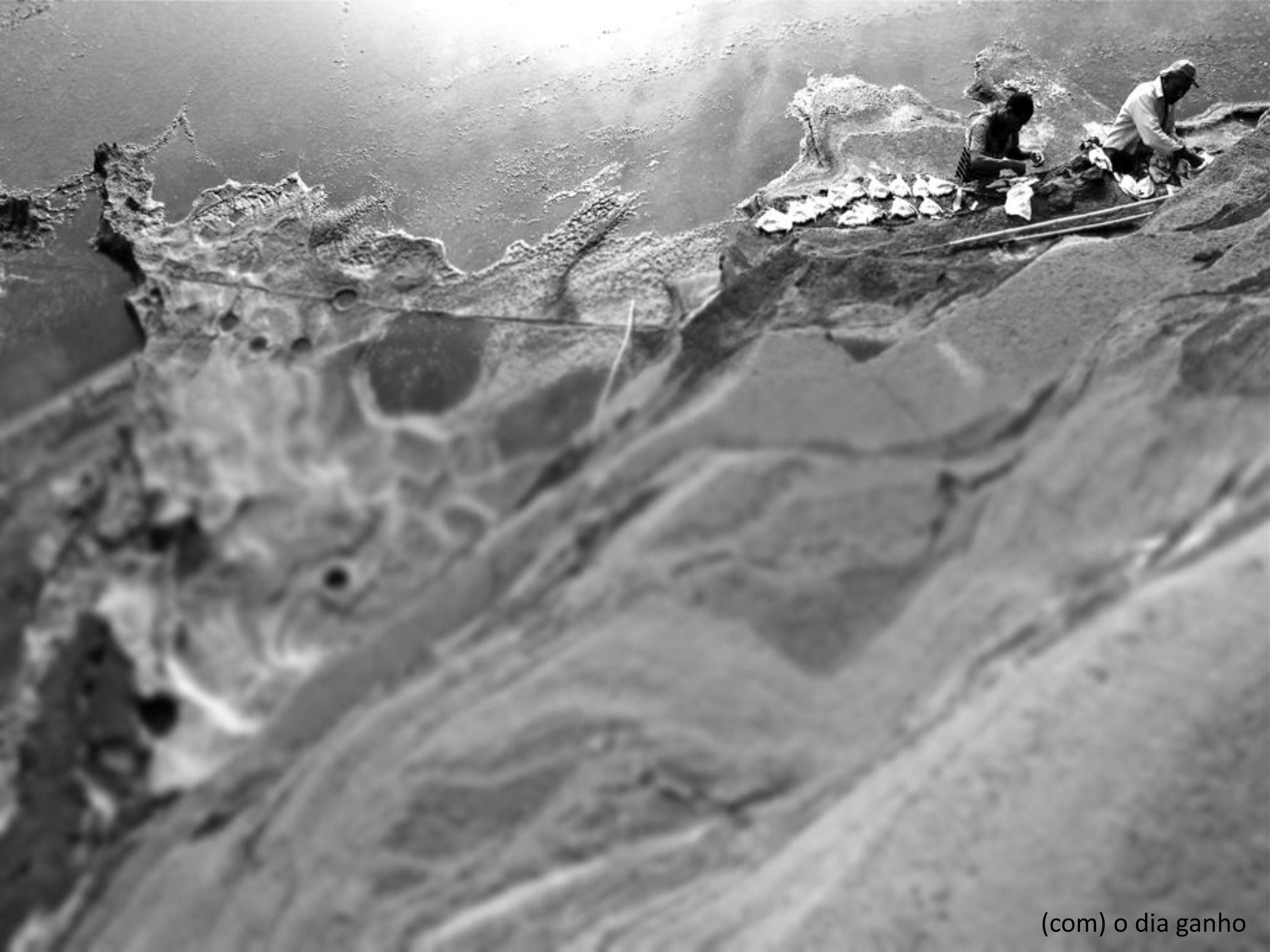 Helder Paz Monteiro / Pesca