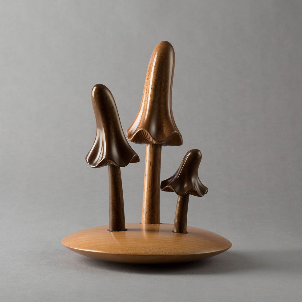 Robe des bois Trio