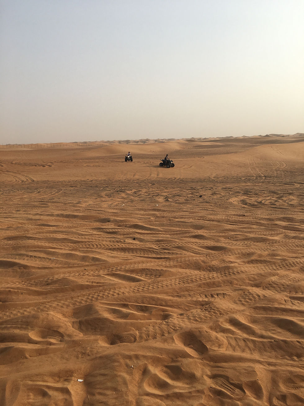 Safari dans les déserts