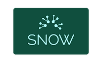 SNOW POLYMERS LOGO.png