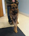Donner arriving at rescue!