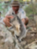 AB5A313B-8C15-4DBC-AB2B-9D65E319DC57_1_105_c.jpeg