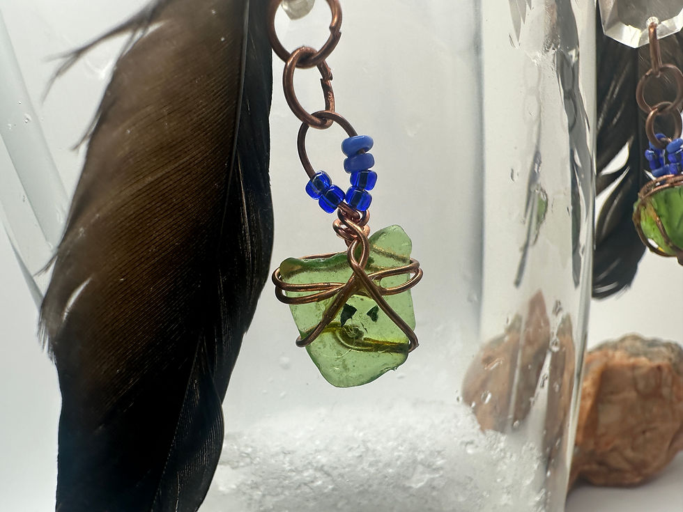 Thumbnail: Black Crow Earrings