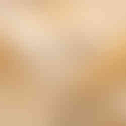 Capo Couture, Florida by Leonardo Vicario