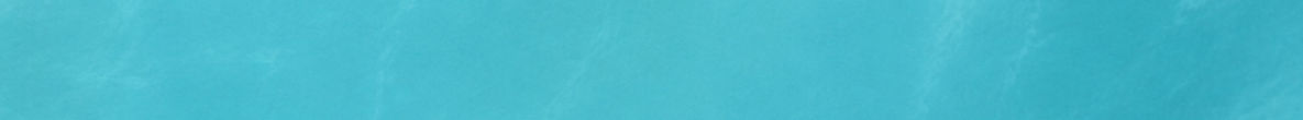 fondo_banner_reserva_1812x233_redondeado