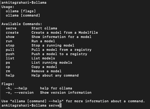 Ollama command line