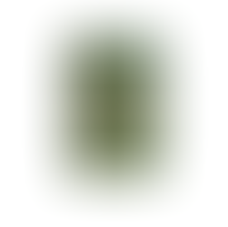 The Secret Garden: A Timeless Tale of Transformation