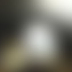 Прибагацнутое левосудие