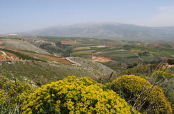 חקלאות בעצבה הגליל