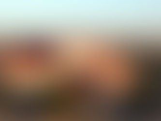 Газа – памятник нашей недальновидности