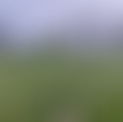 Top Soccer Training Techniques for All Skill Levels