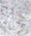 _DSC0007_edited.jpg