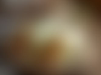 White Cabbage Wraps with Spiced Chickpea Filling and Fresh Herb Slaw