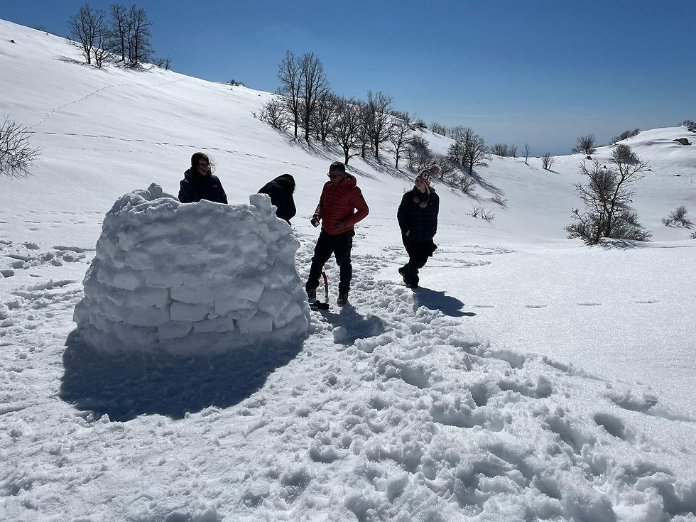 תמונה ממוזערת: פעילות שלג