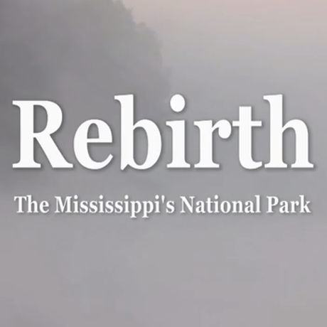 REbirth.jpg