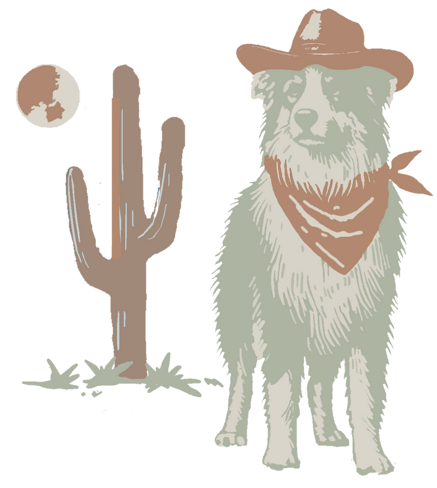 aussie illi v3.png