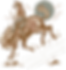 Asset 1.png
