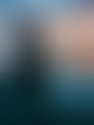 La Red de Paz Interior