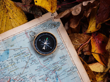 I Was Born Without a Compass Gene